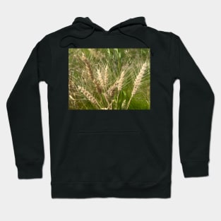 Be Generous with Wheat and Grain for the World Hoodie